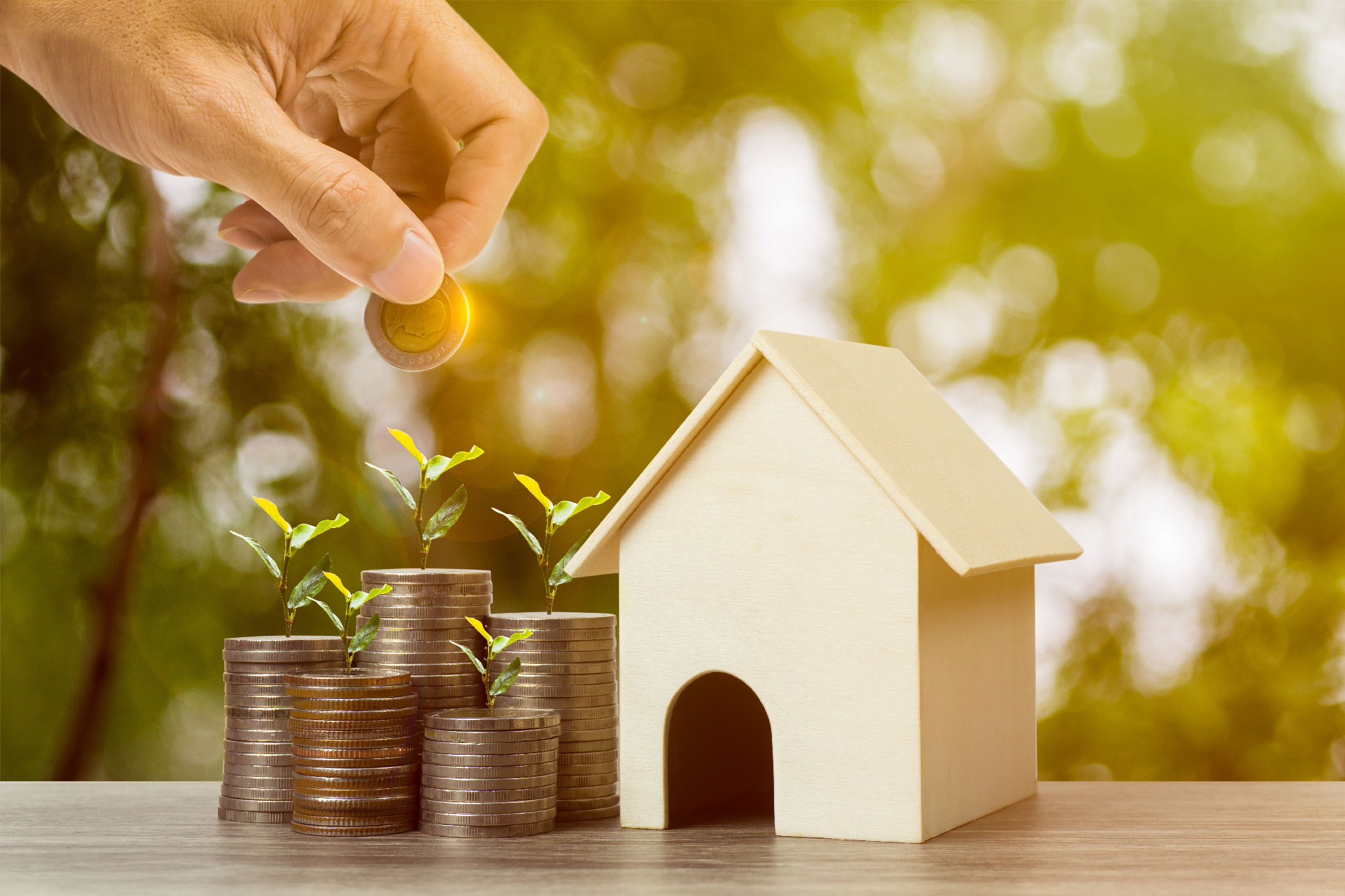 Main pla&ccedil;ant une pi&egrave;ce de monnaie sur une pile de pi&egrave;ces avec des plantes en croissance &agrave; c&ocirc;t&eacute; d'une maison en bois, symbolisant l&rsquo;investissement locatif et la croissance financi&egrave;re dans l'immobilier meubl&eacute; (LMNP)